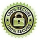 100% Secure Website